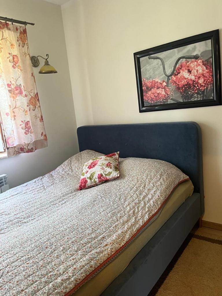 Apartment Siedlisko Kepina Zdroj Ostrow (Myszkow)
