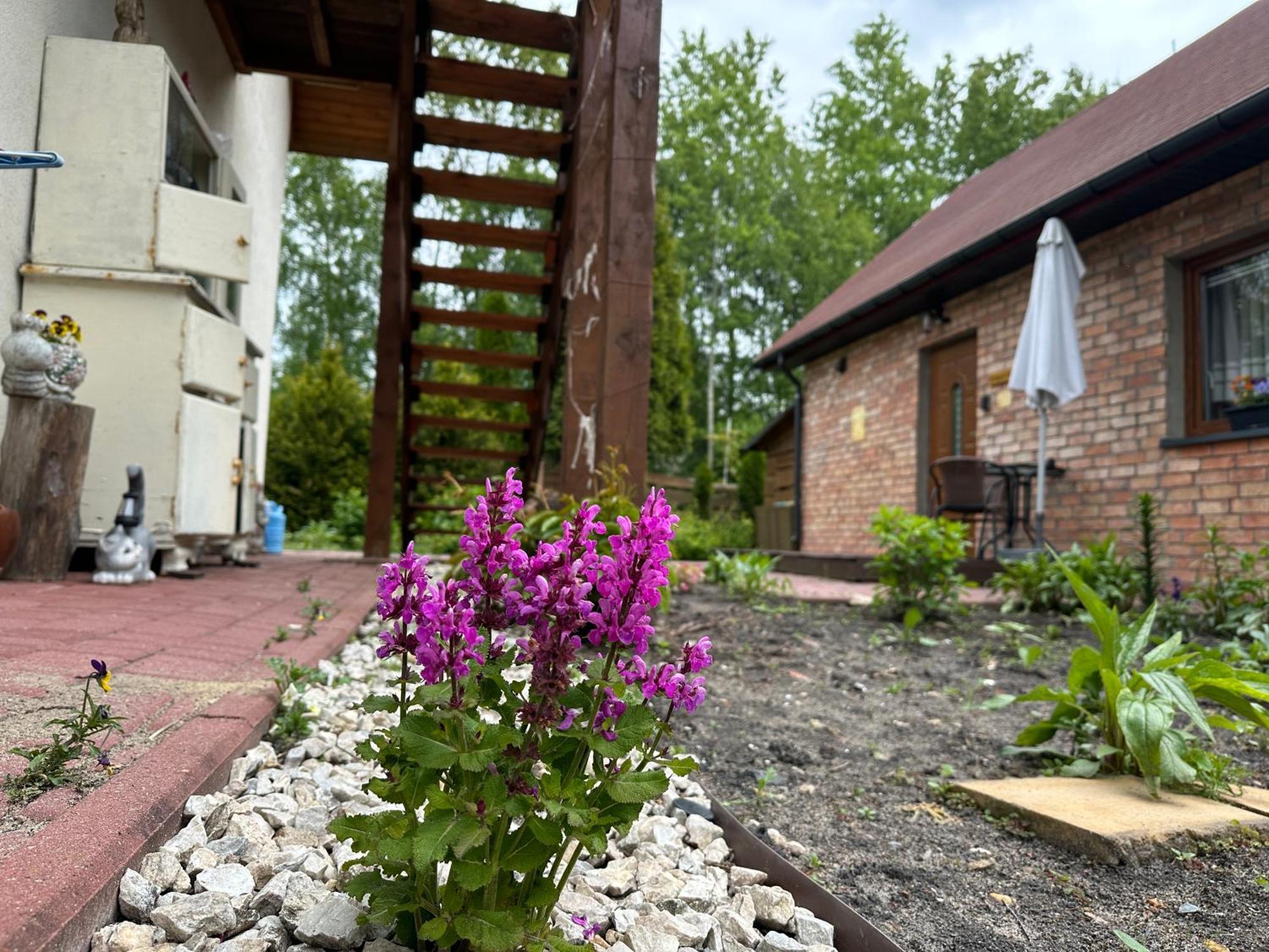 Siedlisko Kępina Zdrój Apartamento *